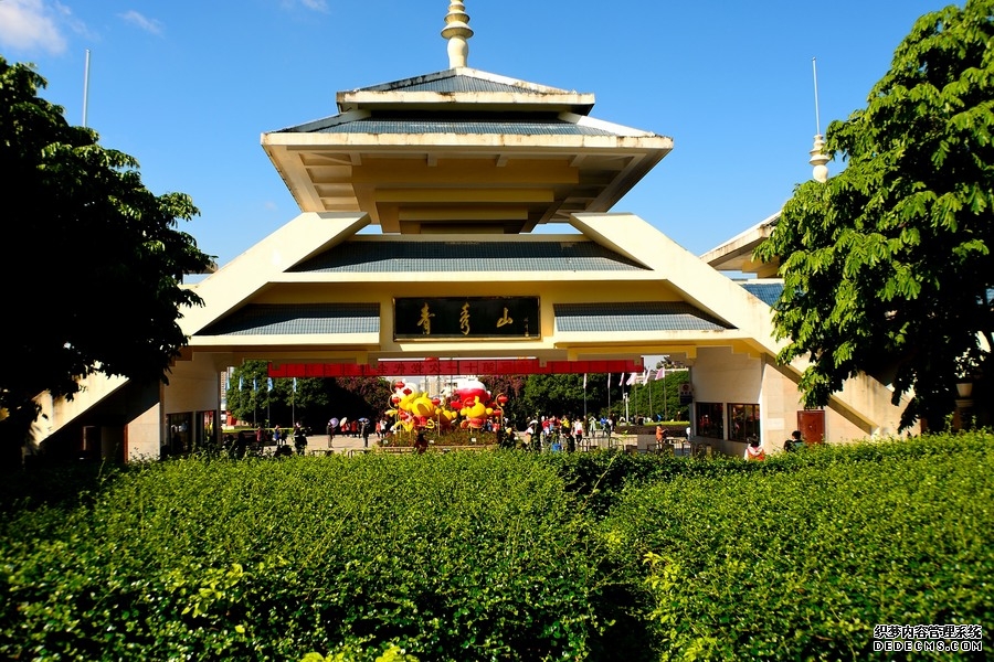 宁波游客来南宁旅游逛了青秀山直接全款买下一套房！